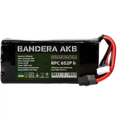 Аккумуляторная батарея Bandera AKB 6S2P Molicel P42A гориз. 22.2VDC 8400mAh (ЦБ0039970)