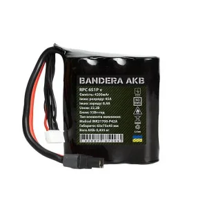 Акумуляторна батарея 6S1P Molicel p42a 4200мАч 45А вертикальна для FPV Bandera AKB Промавтоматика (ЦБ0029021)